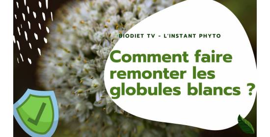 Booster vos globules blancs.