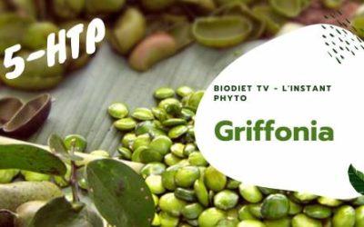 Griffonia, anti-fringale par excellence !