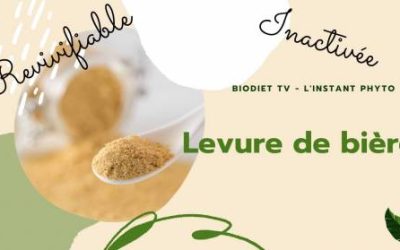 Levure de bière, l’ami de la vitamine B et vos intestins