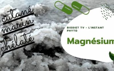 Tous savoir sur les différents Magnésium !