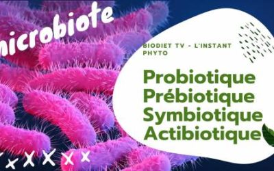 Pro-, pré-, sym- et même actibiotique… quelle différence ?