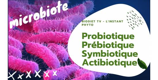 Pro-, pré-, sym- et même actibiotique… quelle différence ?