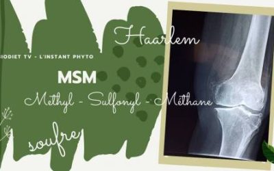 MSM, le soufre qui soutient vos articulations !