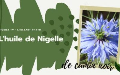 Huile de nigelle pour votre inflammation et allergie