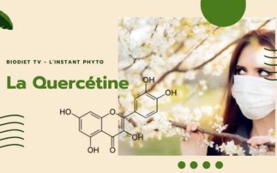 Quercétine anti-allergie et anti-virale ?