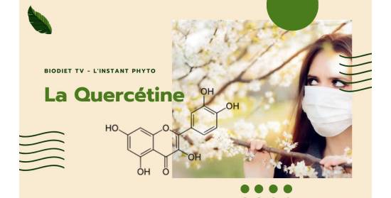 Quercétine anti-allergie et anti-virale ?