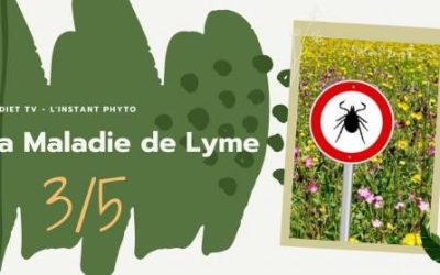 Maladie de Lyme 3/5 Prévention et traitement naturel.