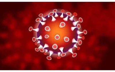 Coronavirus (Covid-19) , ce que je ferais