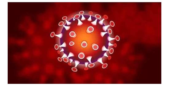 Coronavirus (Covid-19) , ce que je ferais