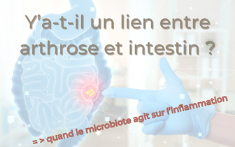 Arthrose lien notable entre intestin et articulation !
