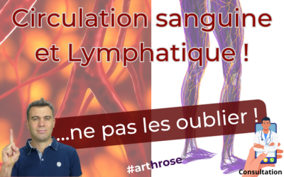 Circulation sanguine et lymphatique, son importance en cas d’arthrose.