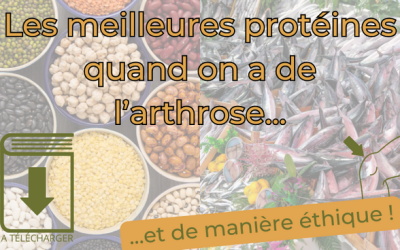 Quelles sont les meilleures protéines pour votre arthrose ?